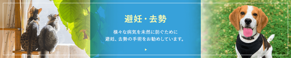 避妊・去勢