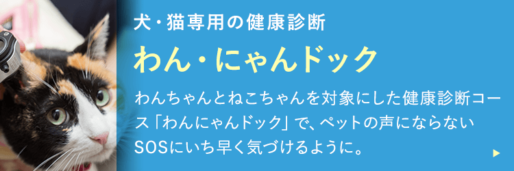 わん・にゃんドック