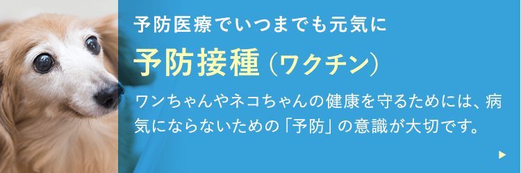 予防接種（ワクチン）